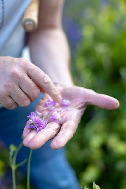 Restaurant Grenoble · La Maison Fantin Latour