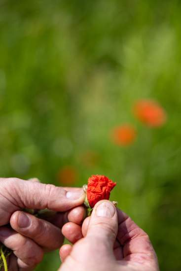 Restaurant Grenoble Centre-Ville · La Maison Fantin Latour · Accès