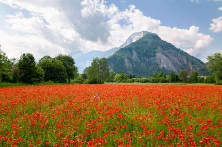 Restaurant Grenoble Centre-Ville · La Maison Fantin Latour · Accès