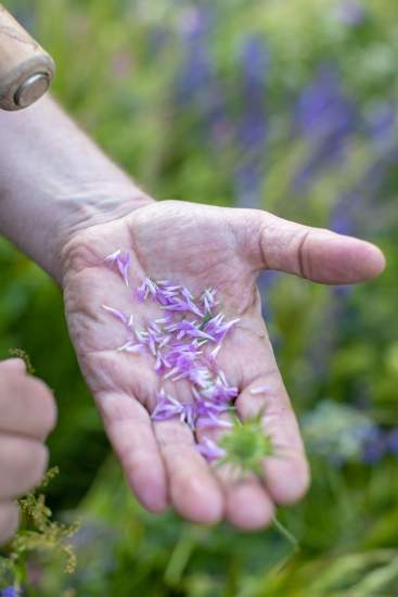 Restaurant Gastronomique Isère · La Maison Fantin Latour 