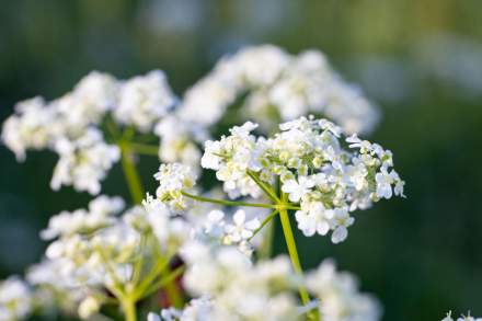 Evènements Professionnels et Privés Grenoble · La Maison Fantin Latour