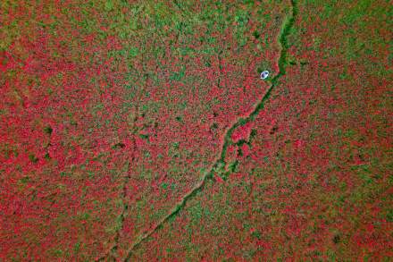 Restaurant Grenoble Centre-Ville · La Maison Fantin Latour · Accès