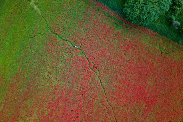 Restaurant Grenoble · La Maison Fantin Latour