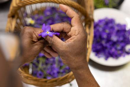 Restaurant Gastronomique Isère · La Maison Fantin Latour 